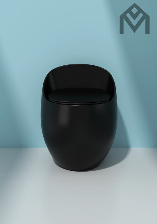 One-piece Toilet Allmivida