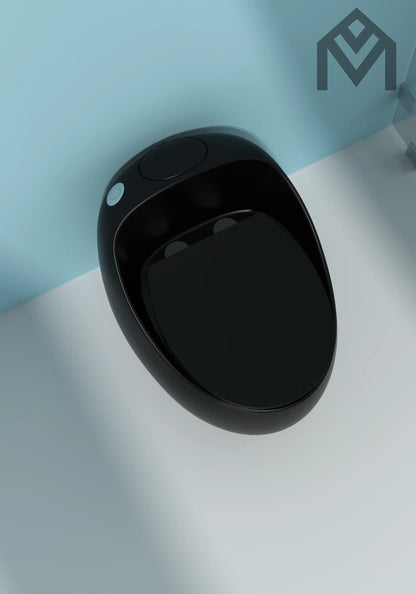 One-piece Toilet Allmivida