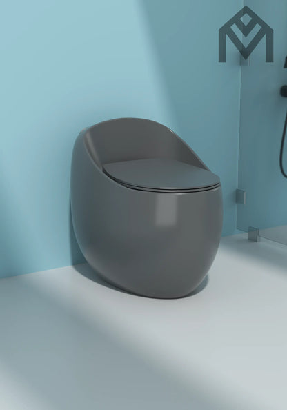 One-piece Toilet Allmivida