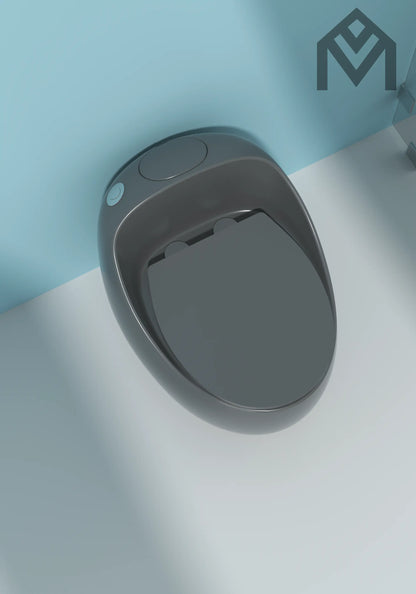 One-piece Toilet Allmivida