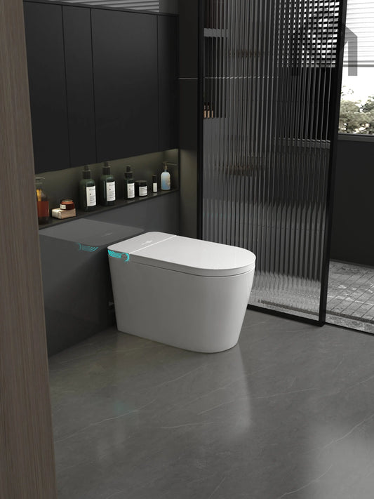 Smart Toilet Allmivida