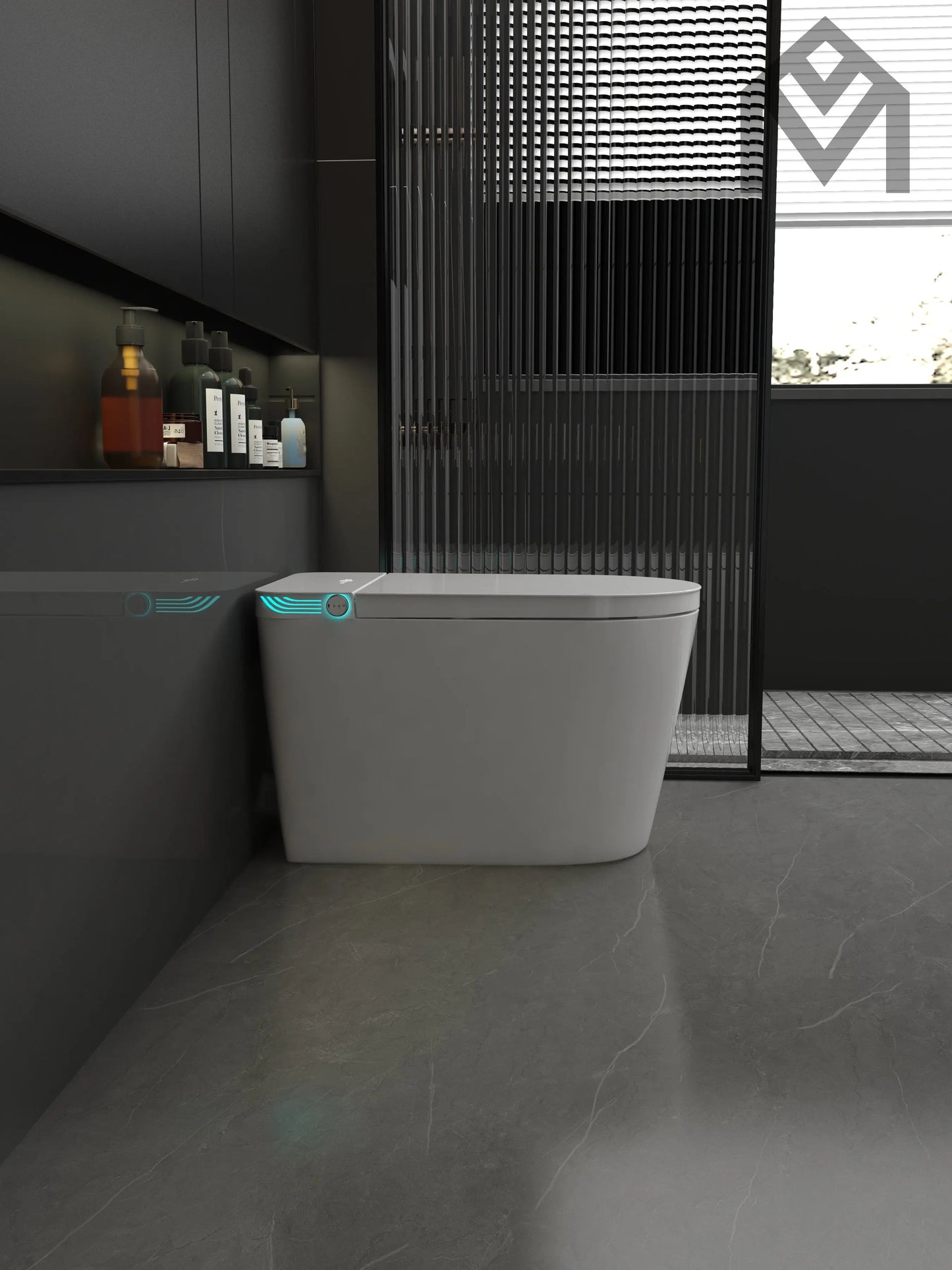 Smart Toilet Allmivida