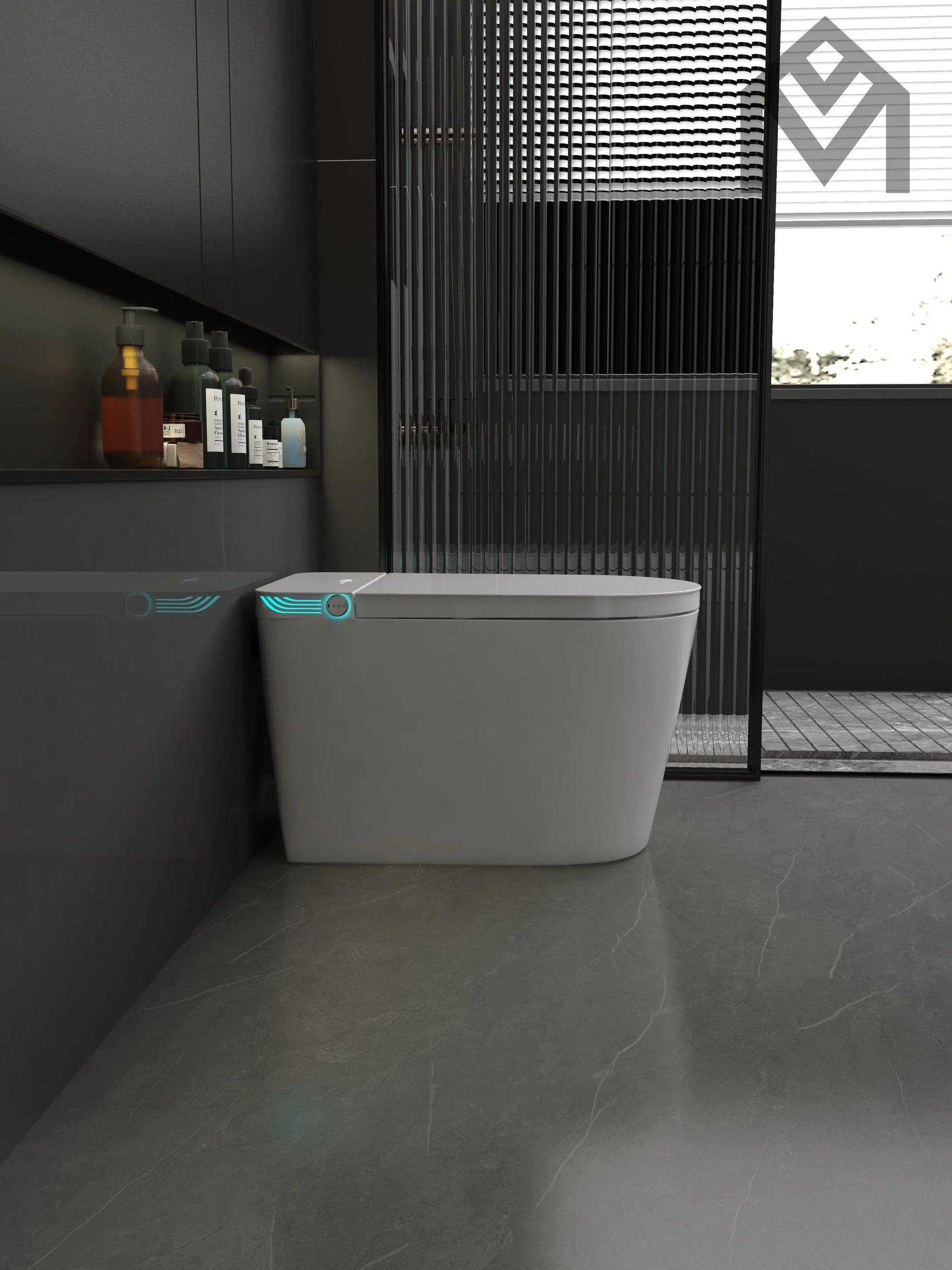 Smart Toilet Allmivida