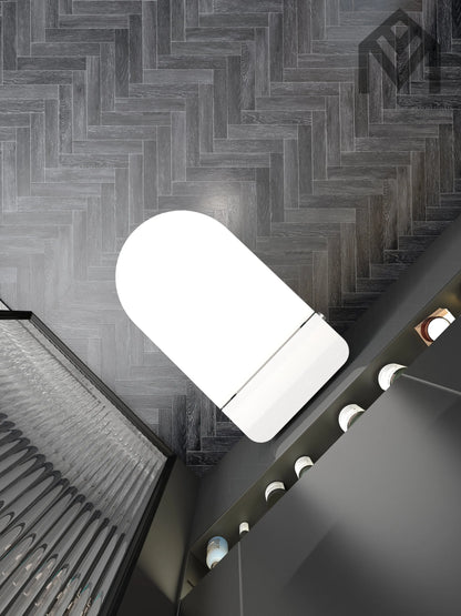 Smart Toilet Allmivida