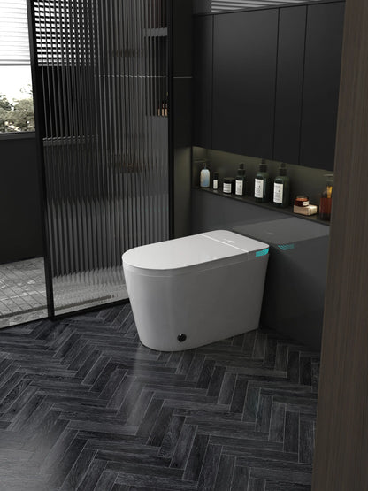 Smart Toilet Allmivida